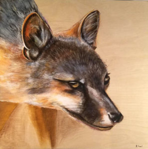 Desert Fox Painting